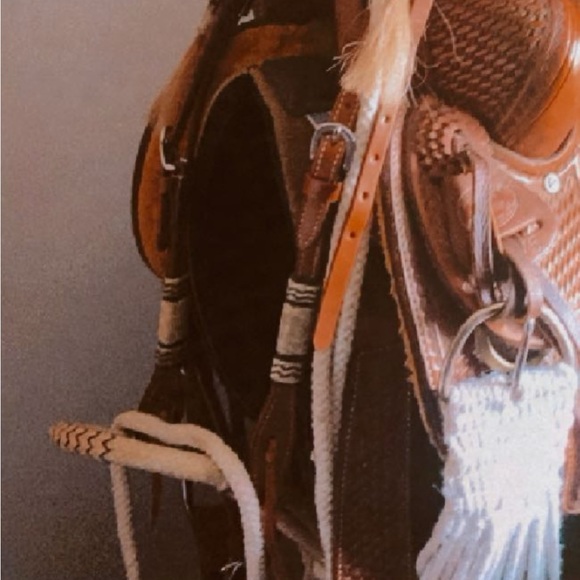 LOPING HACKAMORE - Picture 3 of 4